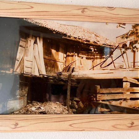 Ciasa Agb Daire Moena Dış mekan fotoğraf